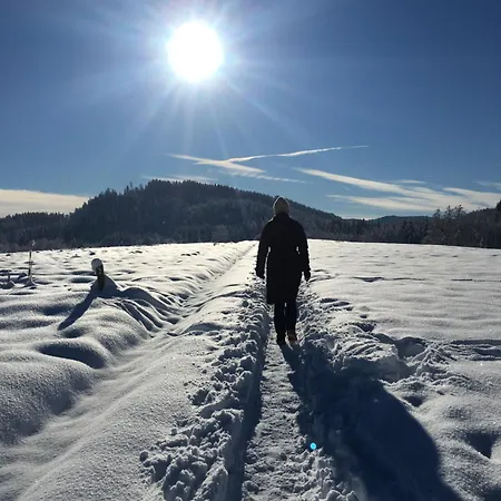 Daire Haus Frank & Sophie Feldkirchen in Kärnten